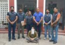 মোহালিতে খুন, আগরতলায় লুকিয়ে থাকা অভিযুক্ত গ্রেফতার