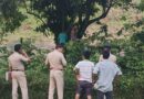 রাবার বাগানে মা ও ছেলের ঝুলন্ত মৃতদেহ উদ্ধার, শান্তিরবাজারে শোকের ছায়া